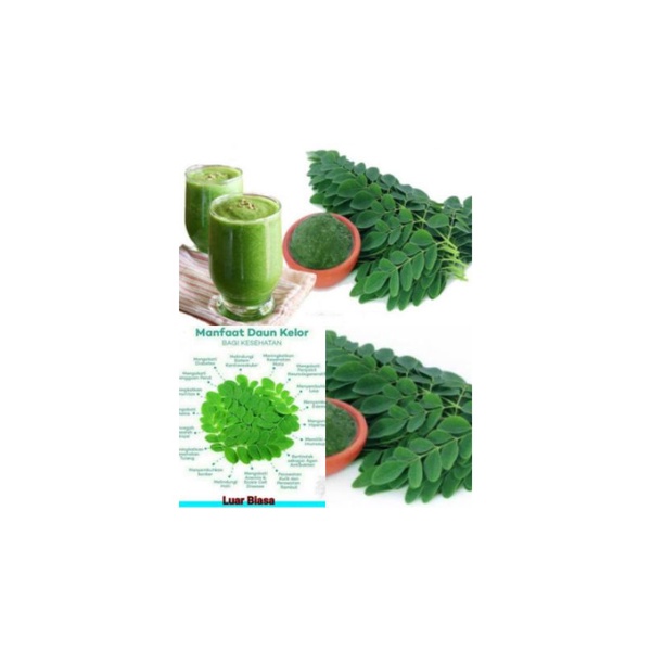 

daun kelor 100-250grm
