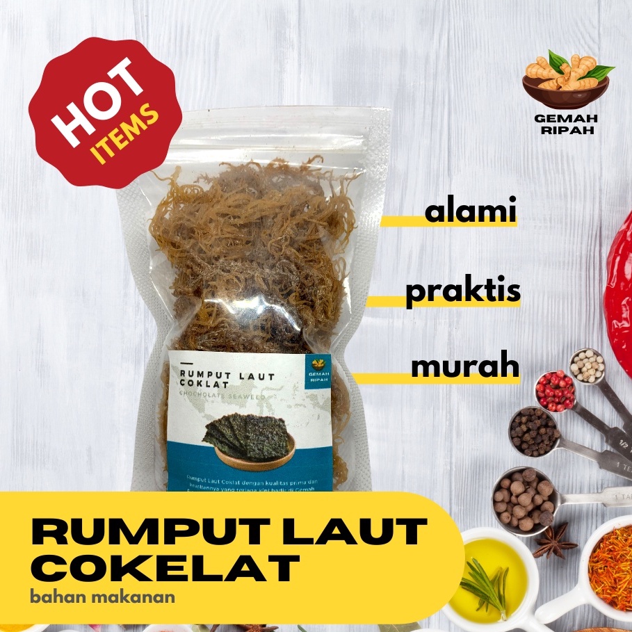 Jual Rumput Laut Coklat Jual Rumput Laut Coklat Eucheuma Spinosum Sp