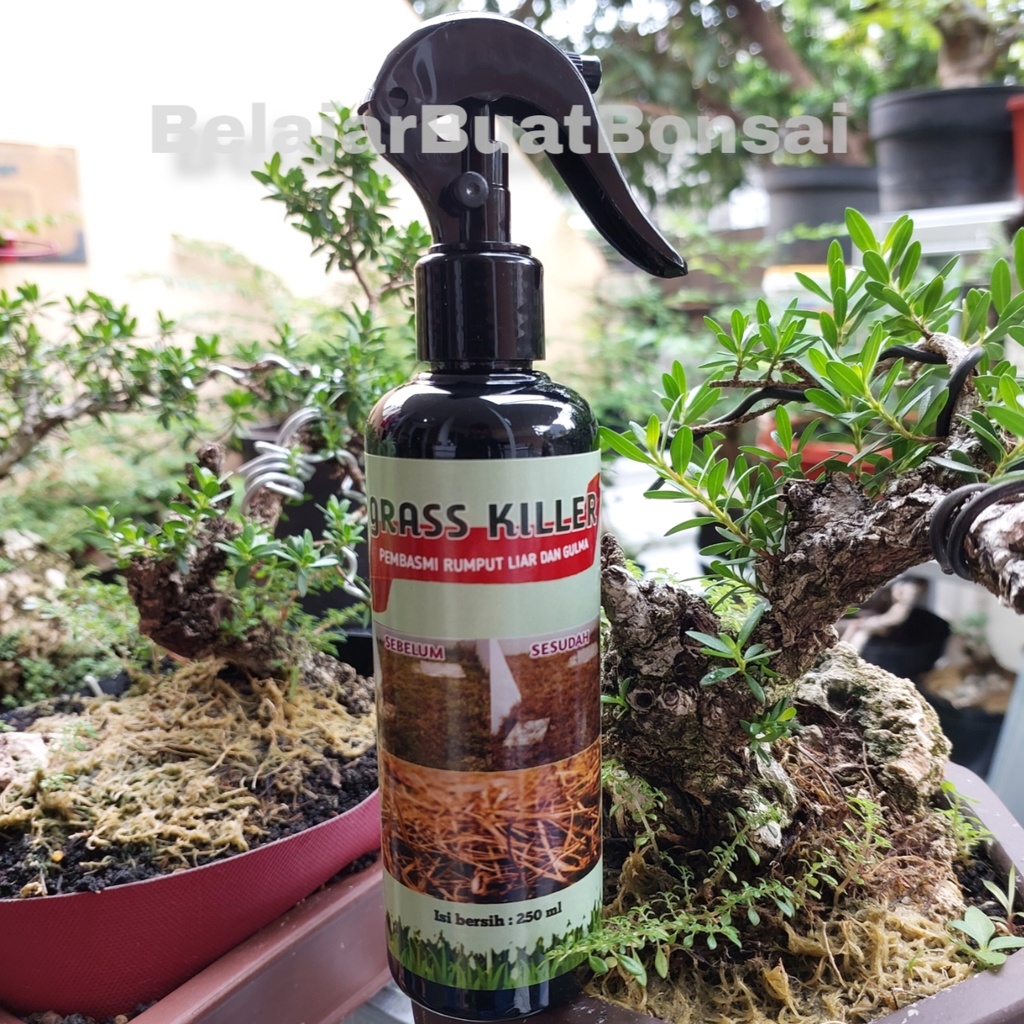 Herbisida Pembasmi Rumput Liar Gulma GRASS KILLER Siap Pakai 250ml