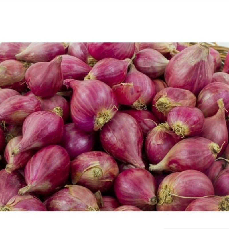 

bawang merah 500gram