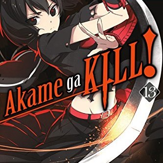 Akame ga kill vol 13 - 9780316473354