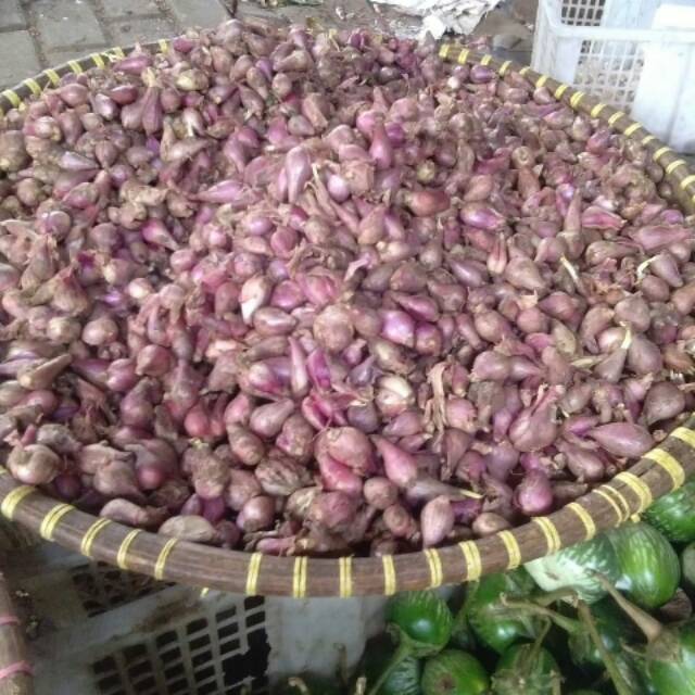 

bawang merah 1kg