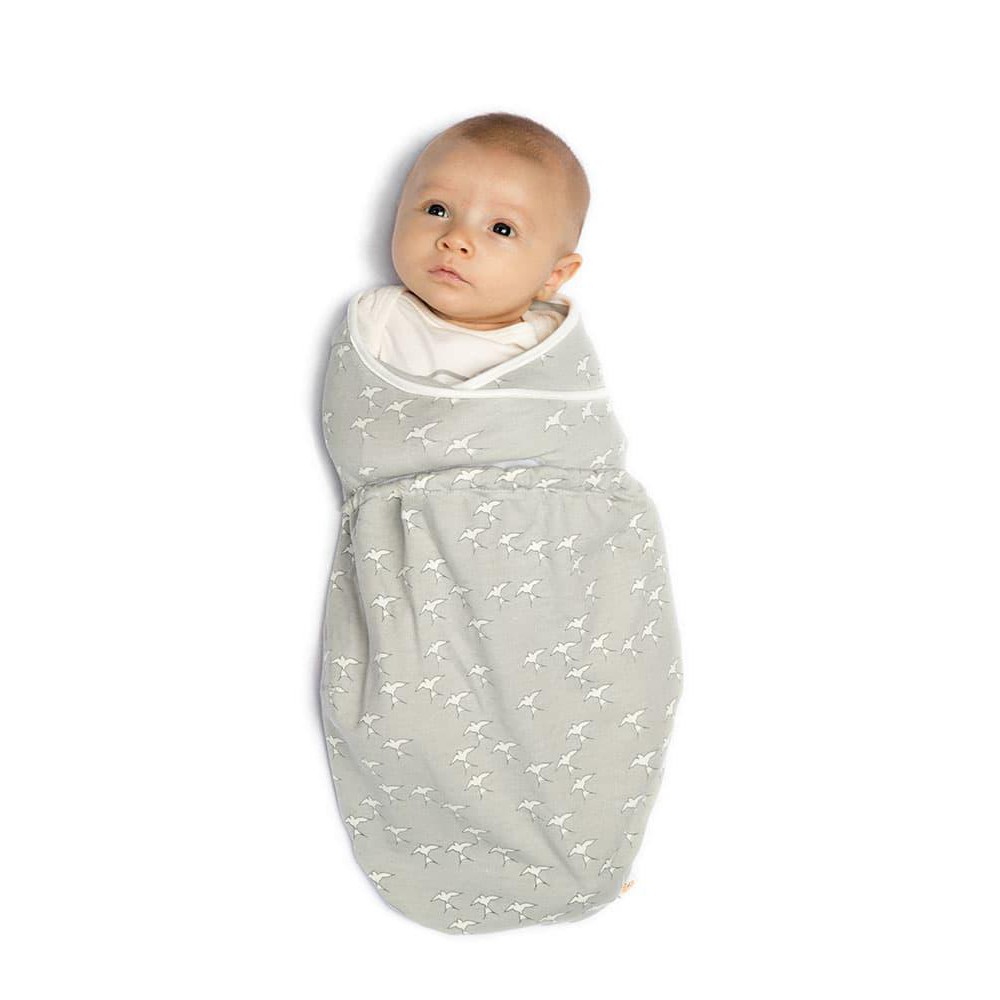 swaddler ergobaby