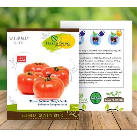 Benih / bibit tomat beef steak haira seed