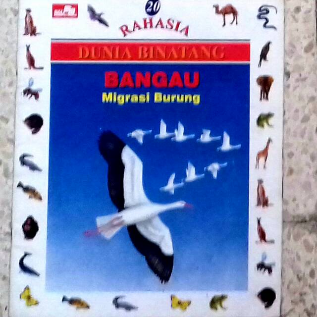 Rahasia dunia binatang bangau
