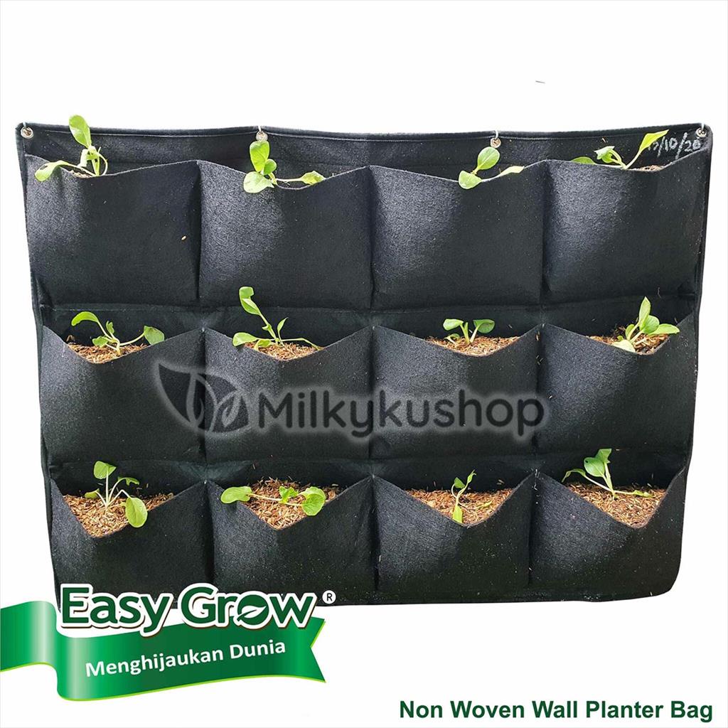 WALL PLANTER BAG EASY GROW NON WOVEN HORIZONTAL 12 KANTONG HITAM