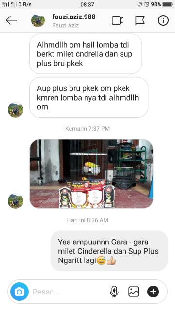 vitamin burung gacor sup plus bird