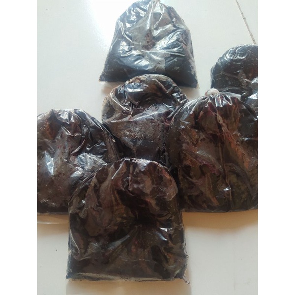 UMPAN GALATAMA LELE MARUS(Pelet marus)