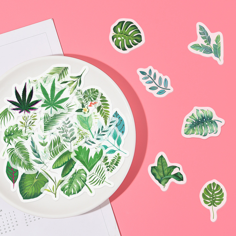 Plant leaves natural account stickers DIY personalized account decoration stickers and paper account stickers 40 pieces