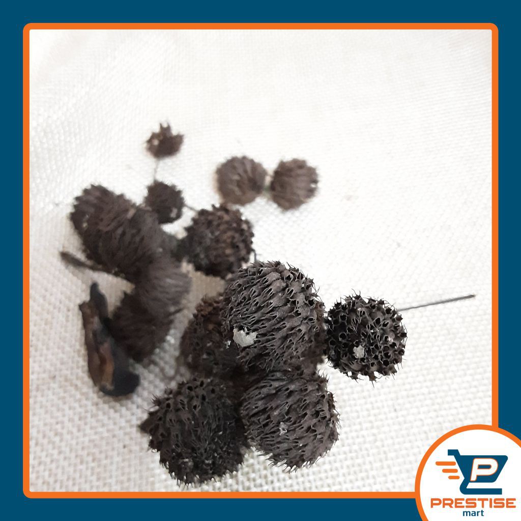 

Bunga Kering Bulat / Hiasan Parcel Souvenir Hampers/Produk foto