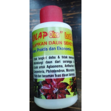 Kilap Daun Leafshine Pengkilap Daun