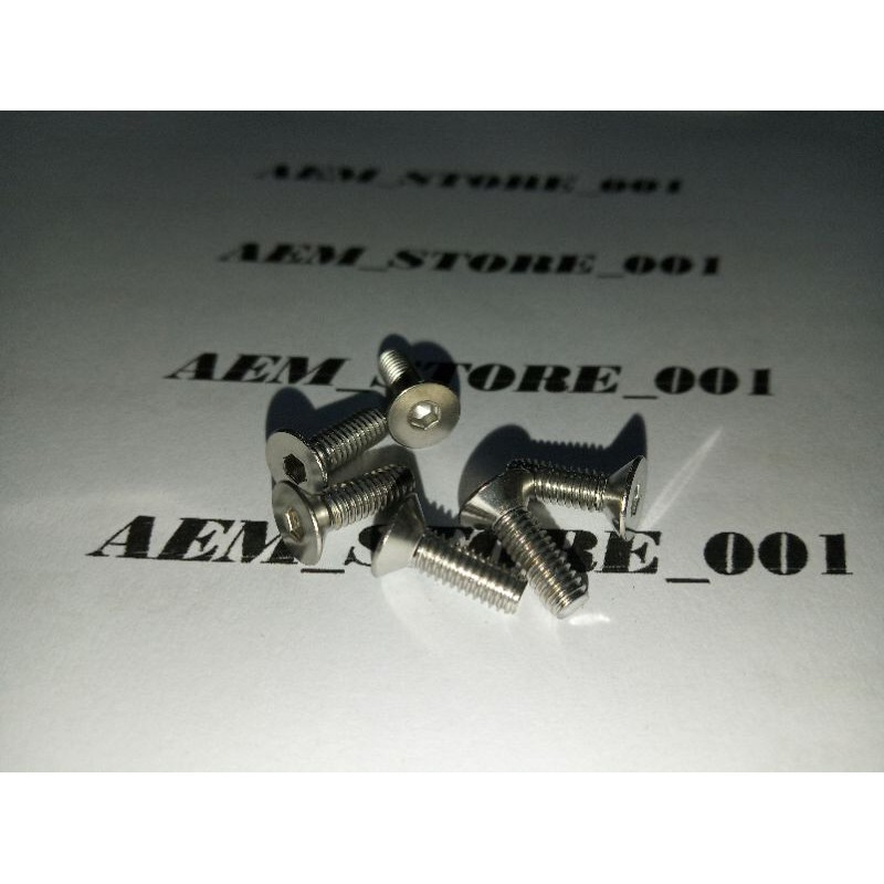 verseng L M4 x 12 (1.2cm)stainless 304