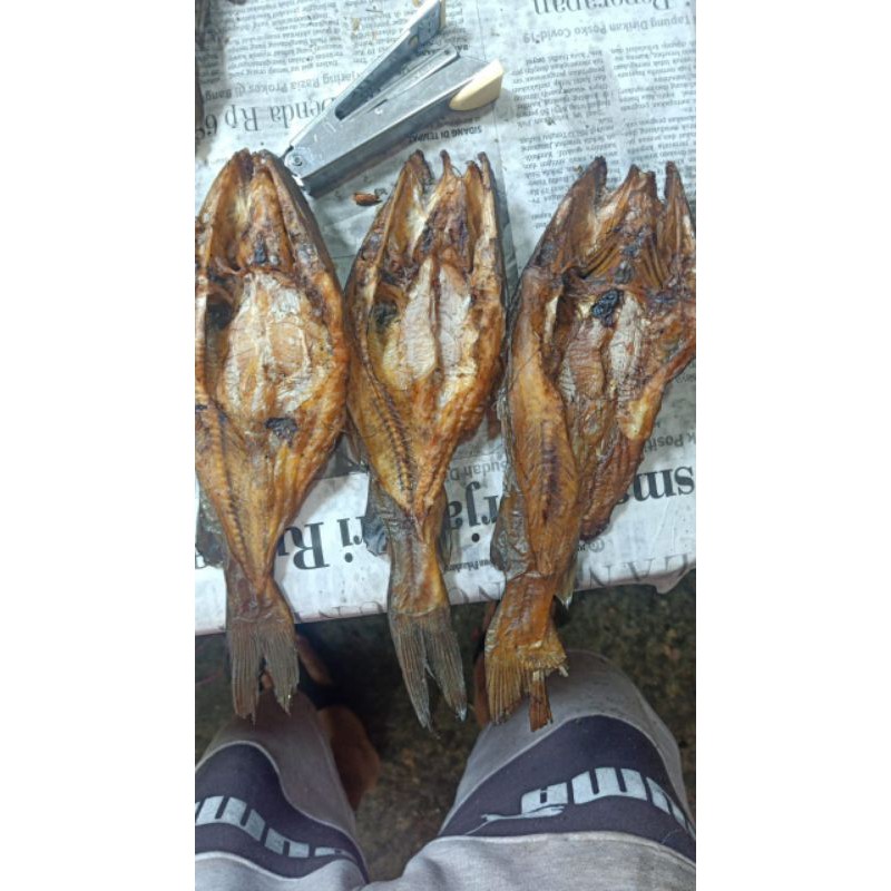

Salai Baung 250gram