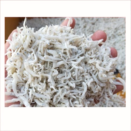 

Ikan Teri Medan | | Ikan Asin 100gr | Pasar Induk Pekanbaru #Harga_Grosir