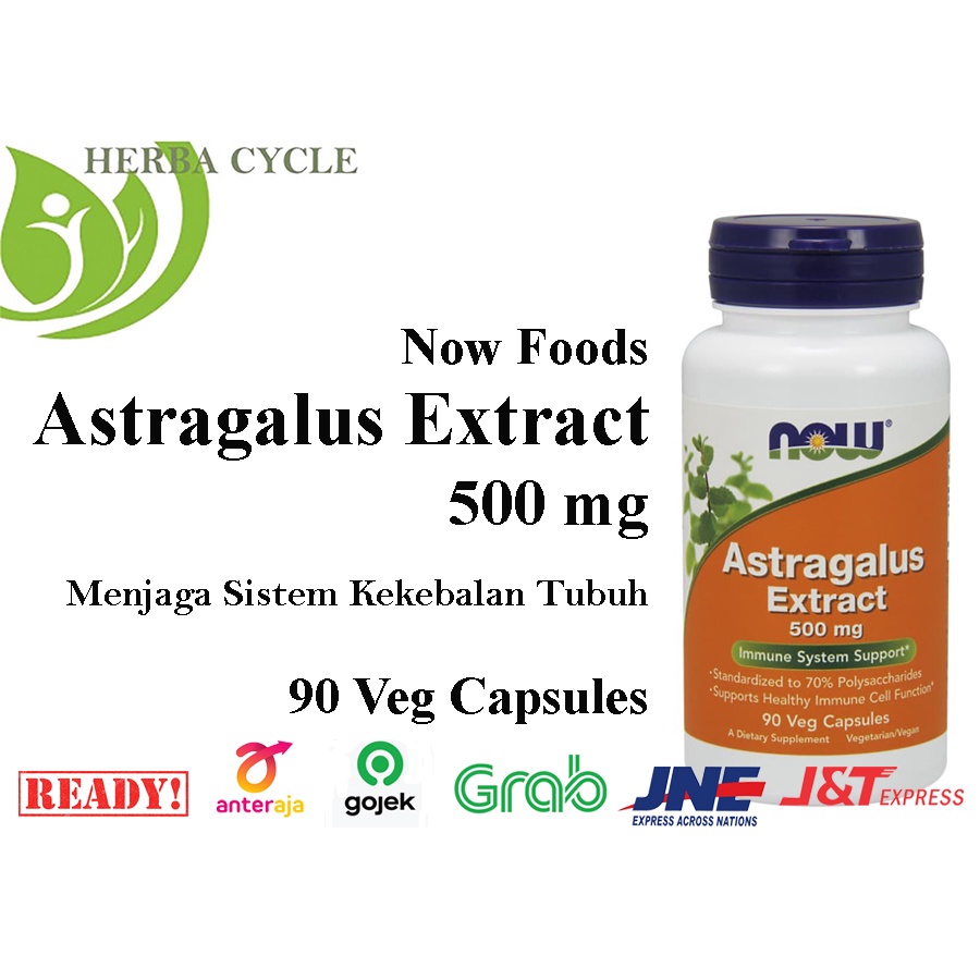 Now Foods Astragalus Extract 500 mg 90 Cap Now Astragalus Kekebalan Tubuh