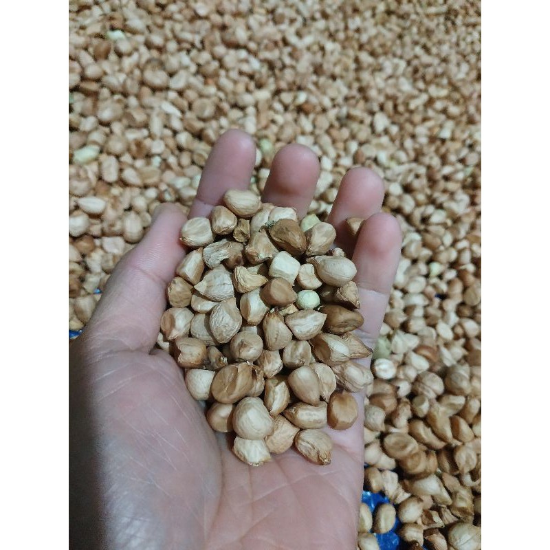 

KACANG TANAH KUPAS 1 KG / KACANG TANAH / KACANG KUPAS