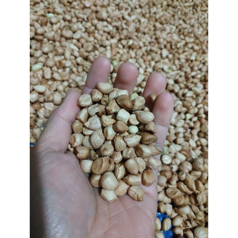 KACANG TANAH KUPAS 1 KG / KACANG TANAH / KACANG KUPAS