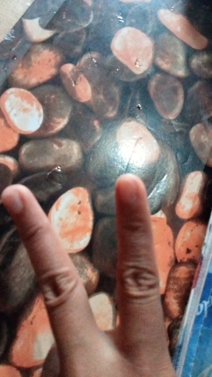 Payung Lipat Motif Murah - Payung Souvenir - Payung Lipat Anti Uv