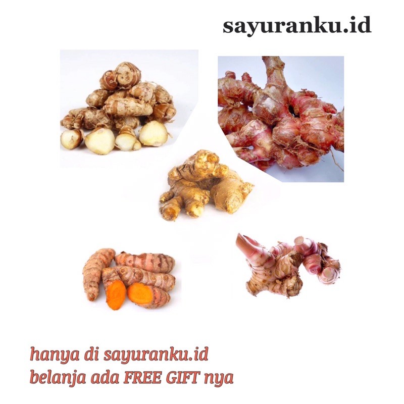

rempah/ bumbu segar 250 gram lengkuas/ kunyit/ kencur/ jahe/ jahe merah