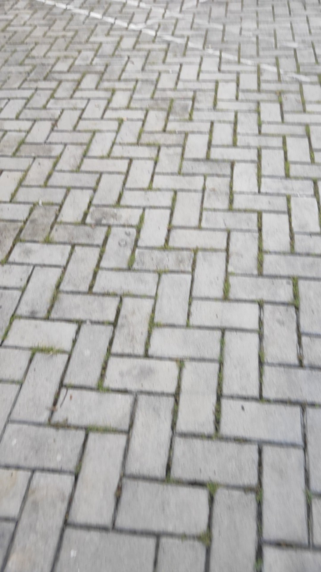 Pompa Sirup 8ml Untuk Botol Torani Tofin Denali Davinci Trieste Nikisari Marjan Syrup Pump