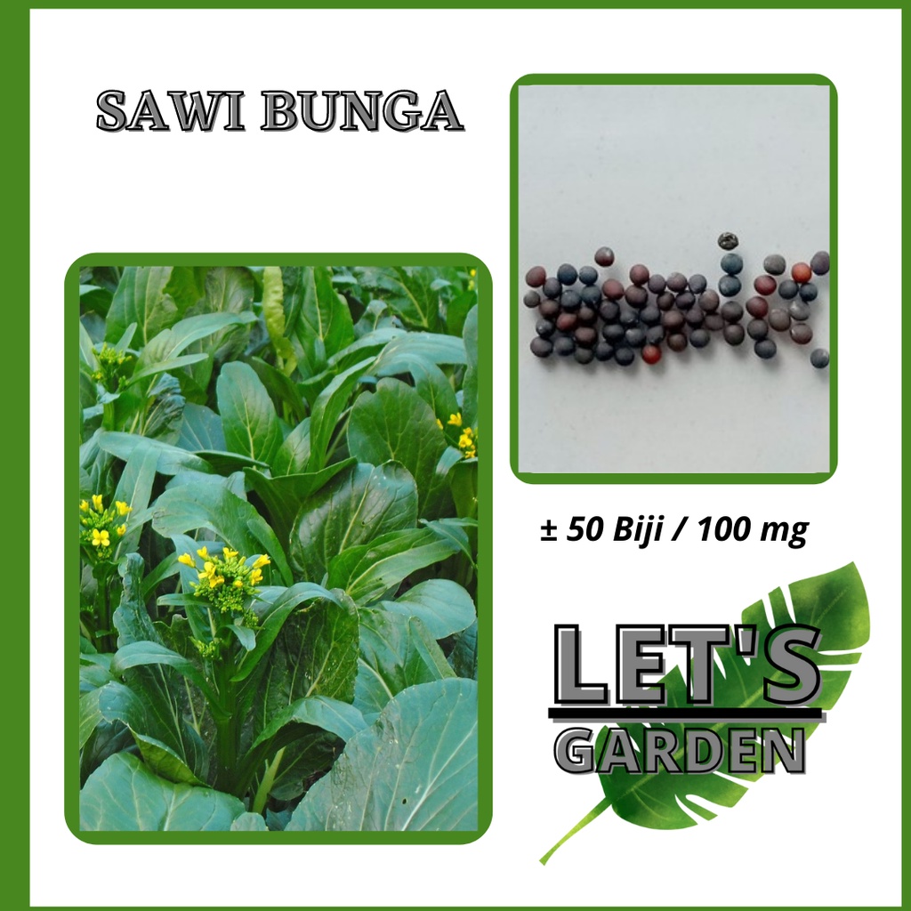 Jual 50 Bibit Sawi Bunga Manis F1 Choy Sum Shopee Indonesia