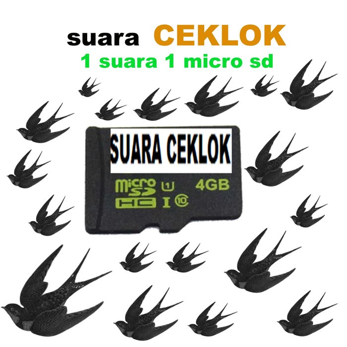 SUARA BURUNG WALET KALIMANTAN 5 micro sd masing masing 4gb