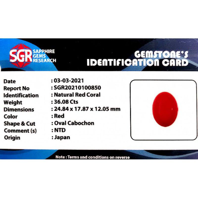 

RED CORAL MARJAN JAPAN NTD BIG SIZE MEMO SGR GEMS LAB #HIGH_QUALITY