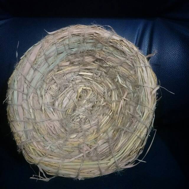 sarang burung dara / sarang jerami burung dara