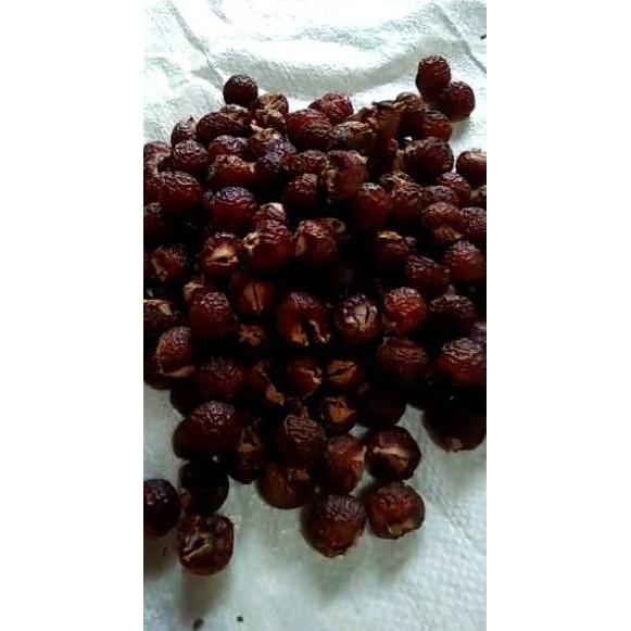 

Laris 8F8S7 Biji Lerak Daging Tanpa Biji 1kg 95 Paling Popular