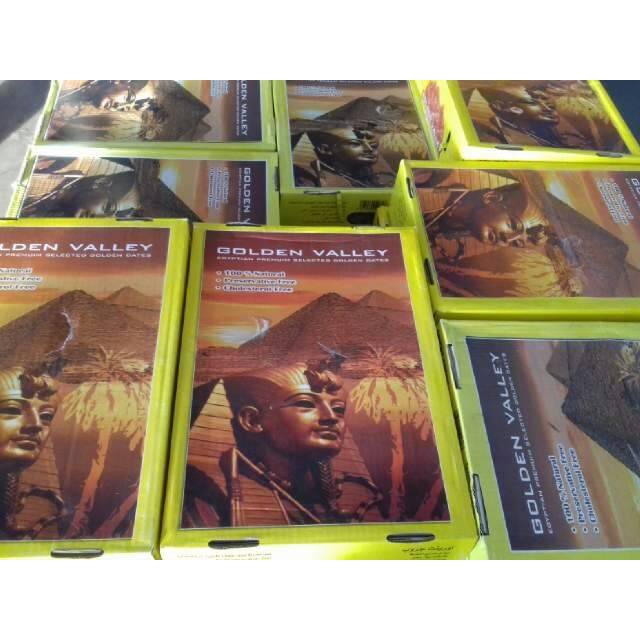 KURMA GOLDEN VALLEY NETTO 10KG IMPOR DR MESIR