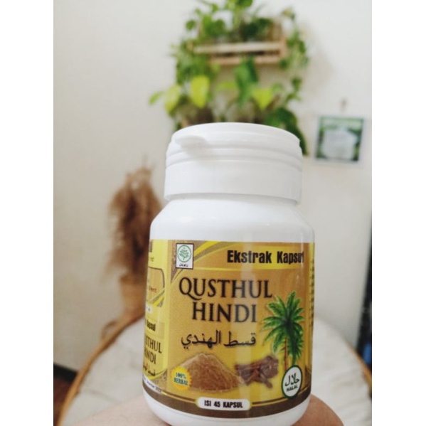 Qusthul Hindi Herbal Pernafasan Kapsul