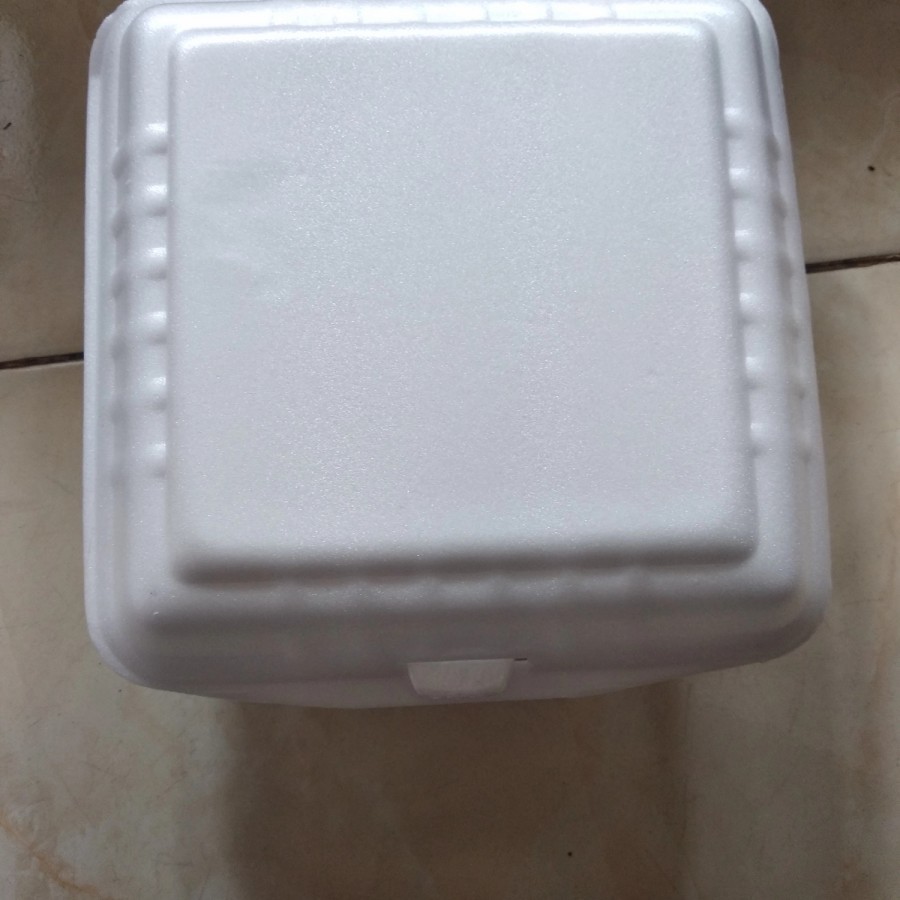 Sterofoam Kotak Nasi atau Ayam Bakar 1Bal (100pcs) (KHUSUS GOJEK/GRAB)
