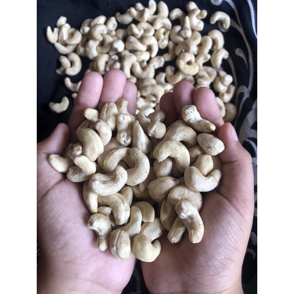 

Kacang mete / mede / mente Jawa Wonogiri