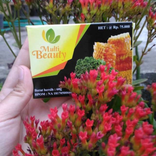 Multy Beauty Soap / sabun multy beauty