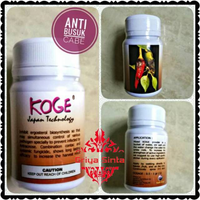 Obat Pertanian Koge 50gr Obat Anti Busuk Pada Cabe Shopee Indonesia