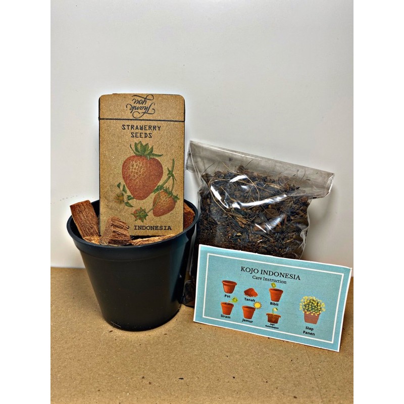 Jual Strawberry Grow Kit ( Paket Siap Taman Buah Strawberry ) Shopee