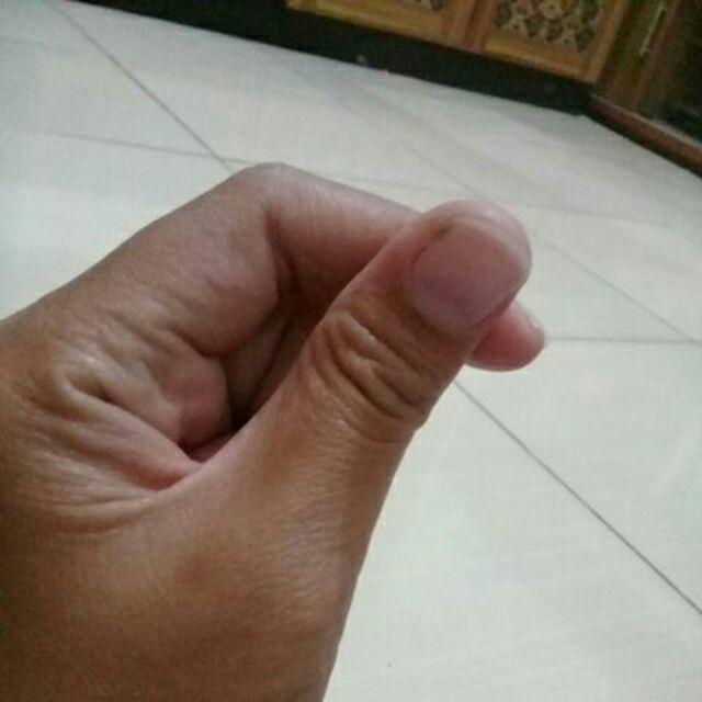 Tarikan Pintu Rumah Handle Pintu Rumah