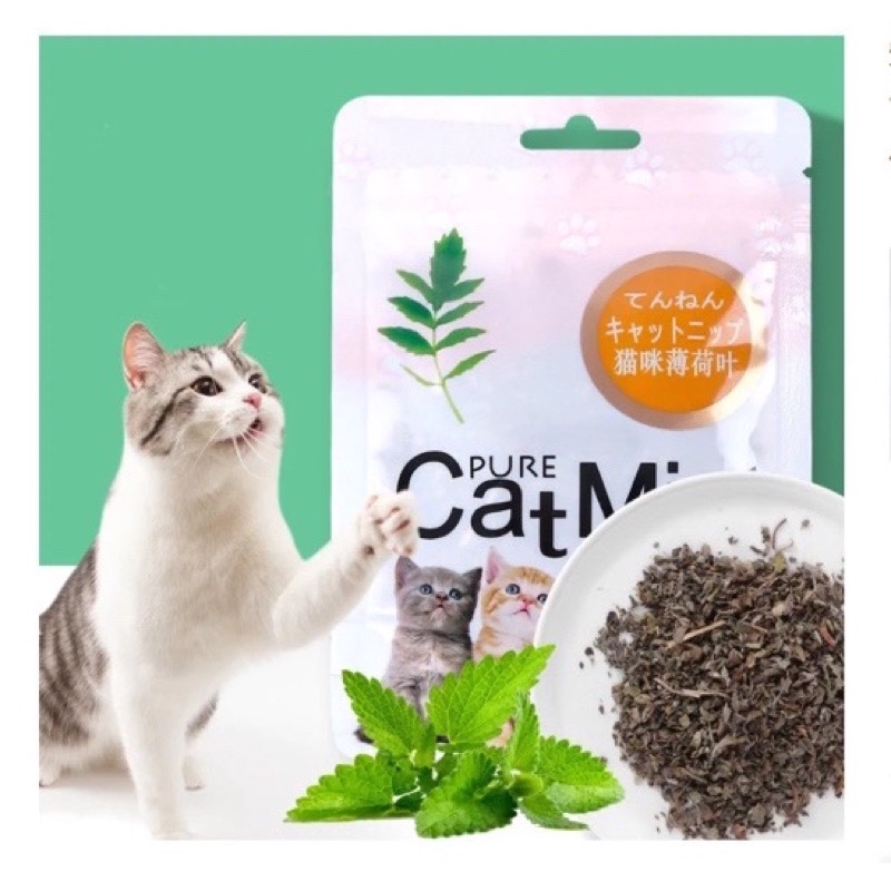 Pawsitive VIbes Bubuk Catnip untuk Kucing | Pure Mint Powder | Catmint Catnip | Cat Nip Powder