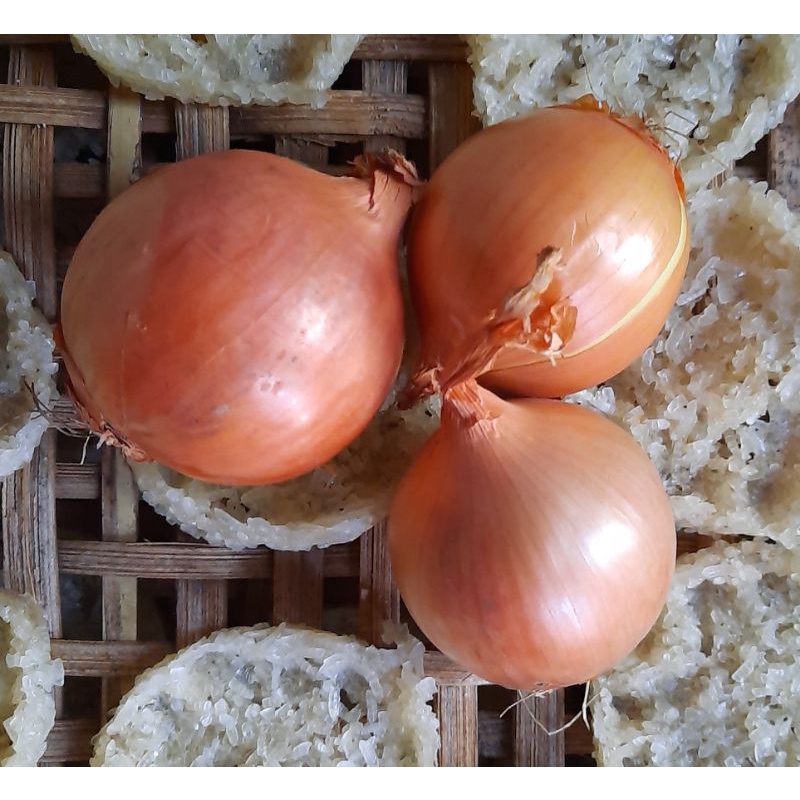 

bawang bombay 250 gram