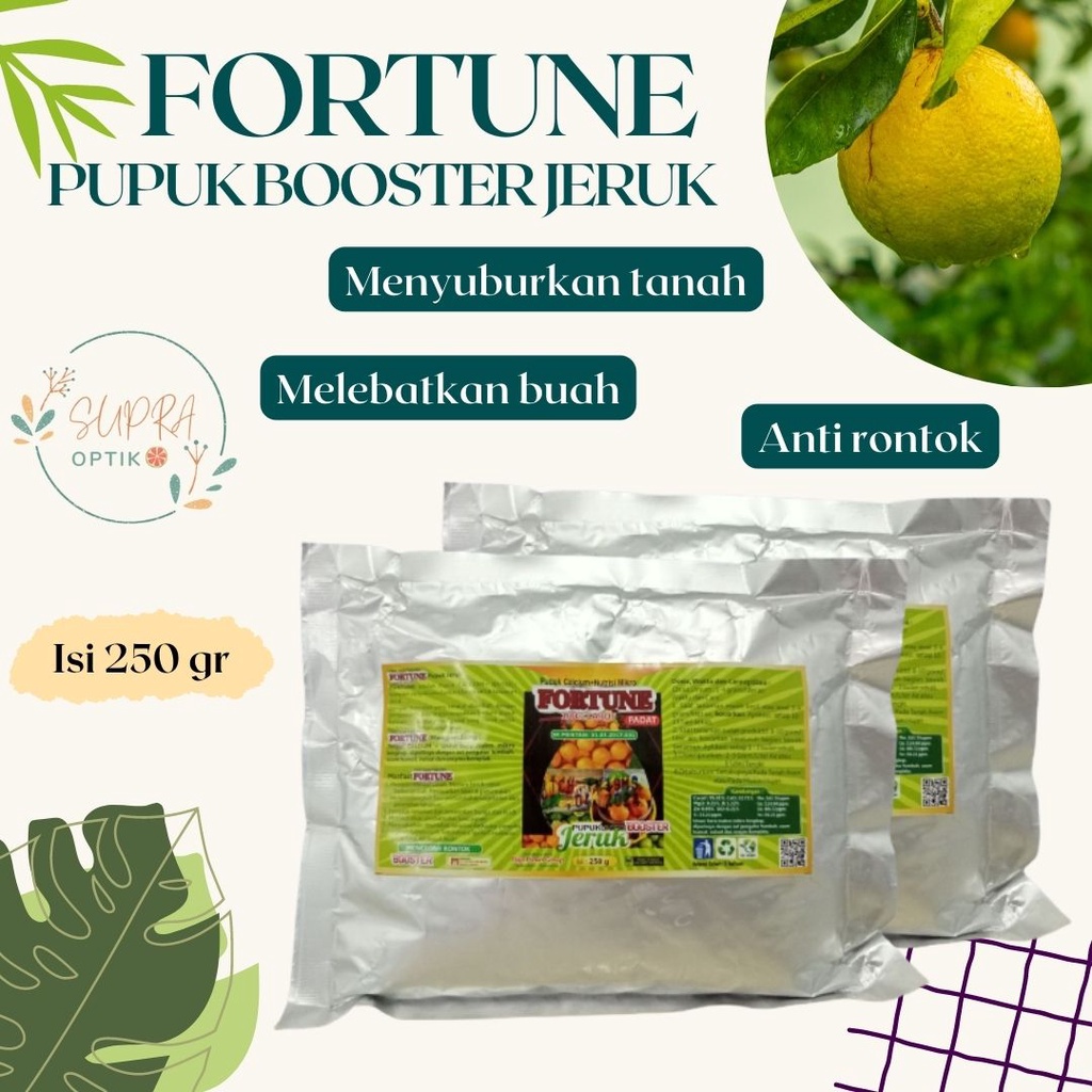 Pupuk Jeruk Supaya Manis, Pupuk Nutrisi Jeruk Berbuah Lebat Dan Besar