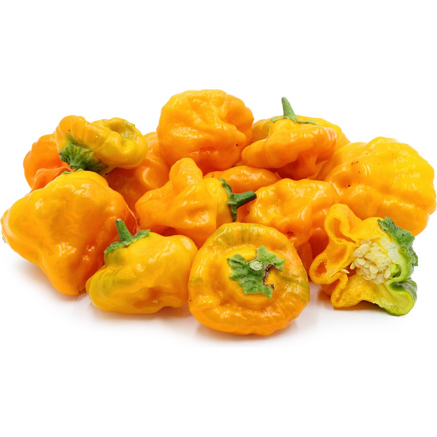 Benih Bibit Biji - Cabai Jamaican Yellow Mushroom (Cabe Berbentuk Jamur) Pepper Seeds