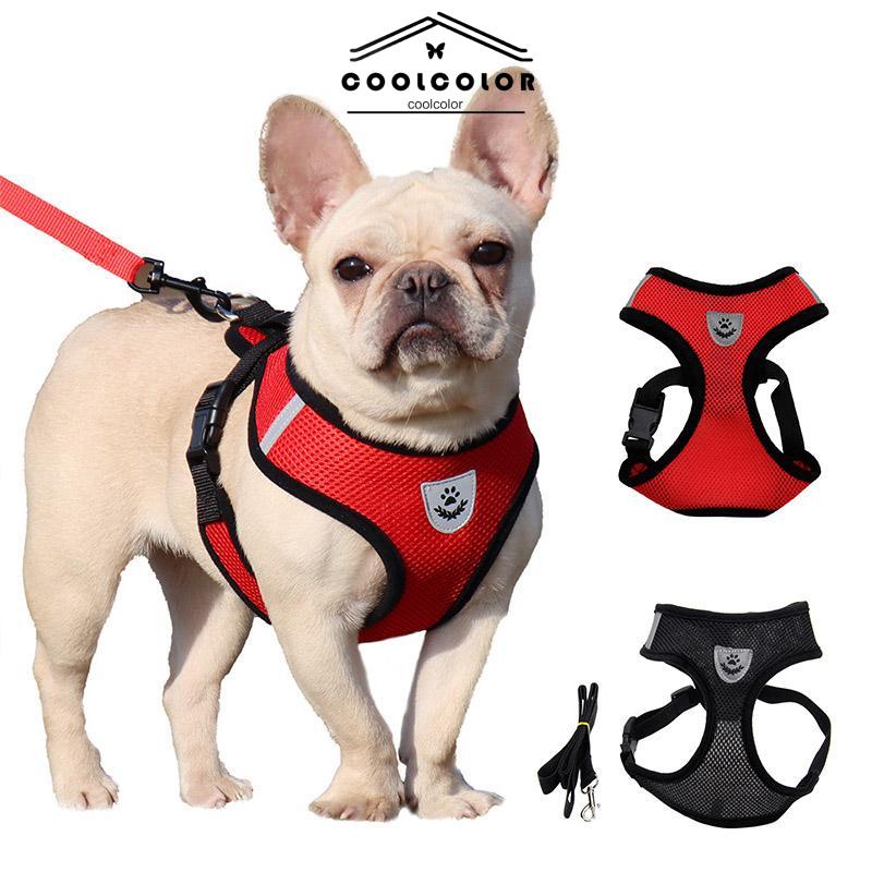 CODPet Chest Back Leash Mesh Strip Reflektif Crossing Road Perlengkapan Hewan Peliharaan tahan aus- cl