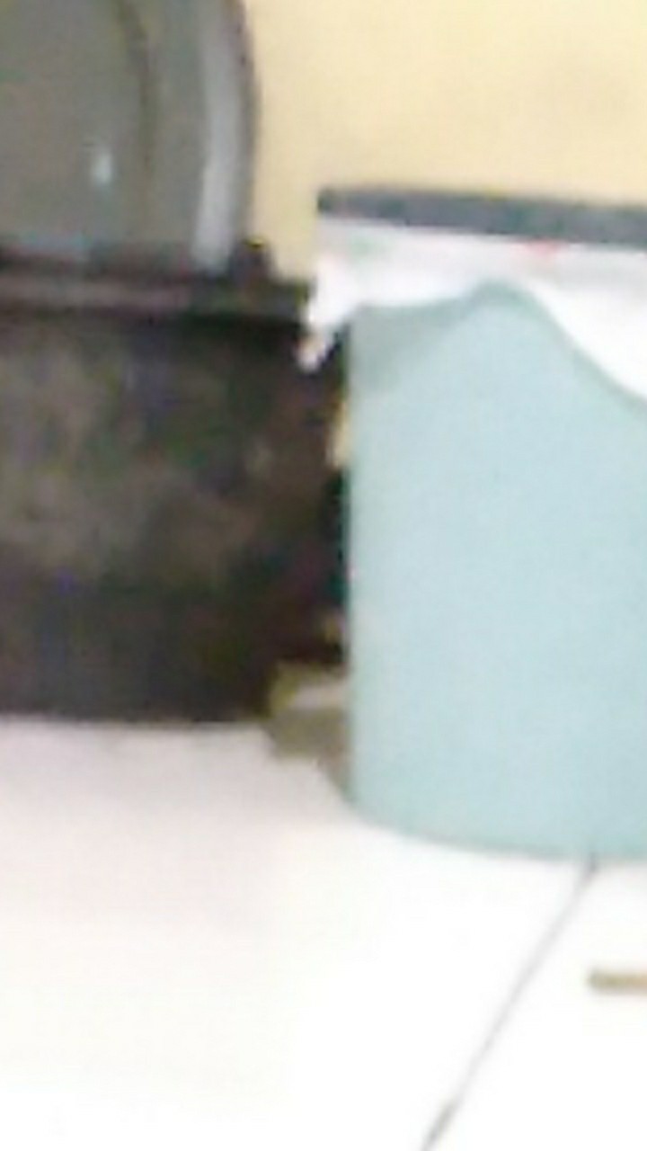 Tong Sampah Bulat/tempat Sampah Plastik Warna Canggih/ember Pink  Hijau  Biru