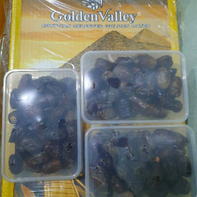 

Kurma golden valley ecer