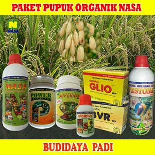 Paket pupuk nasa budidaya padi