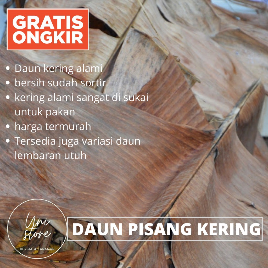 Daun Pisang Kering 1kg - Infusoria - Artemia Pakan Burayak - Cupang Jangkrik Murah berkualitas