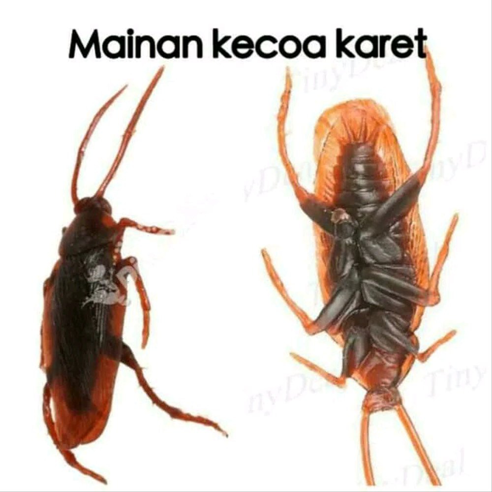 Mainan Kecoa Palsu Mirip Seperti Asli Mainan Prank Usil Jahil 1pcs