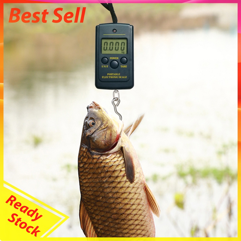 40kg/10g Portable Mini Digital Fishing Scales w/ Hanging Hook Luggage Scale