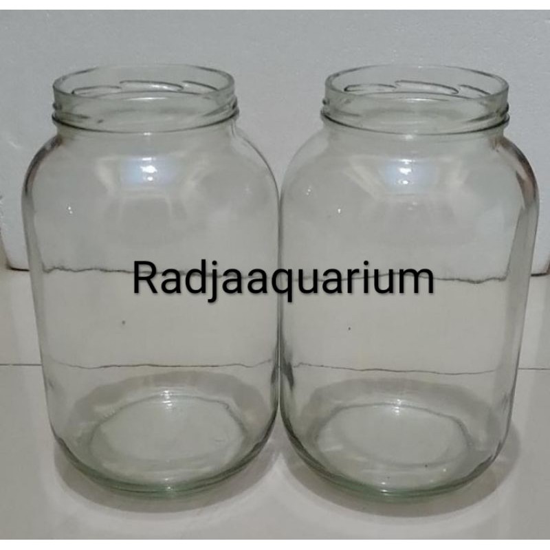 toples cery toples ukuran 3liter toples kaca besar tempat ikan cupang adu