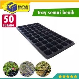 Tray semai 50lubang